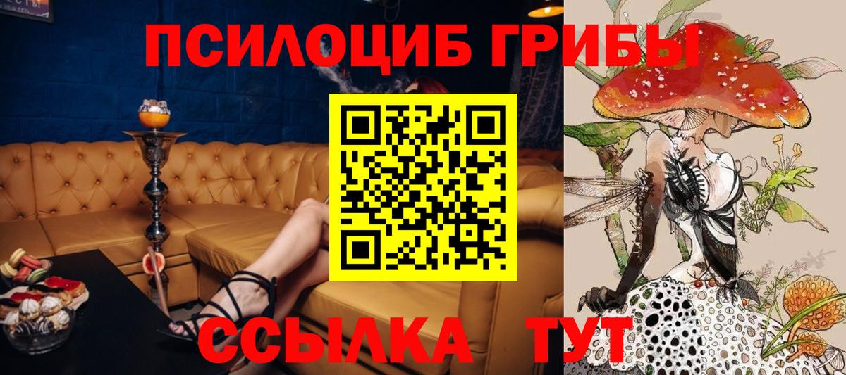 Псилоцибиновые грибы Psilocybe Кропоткин