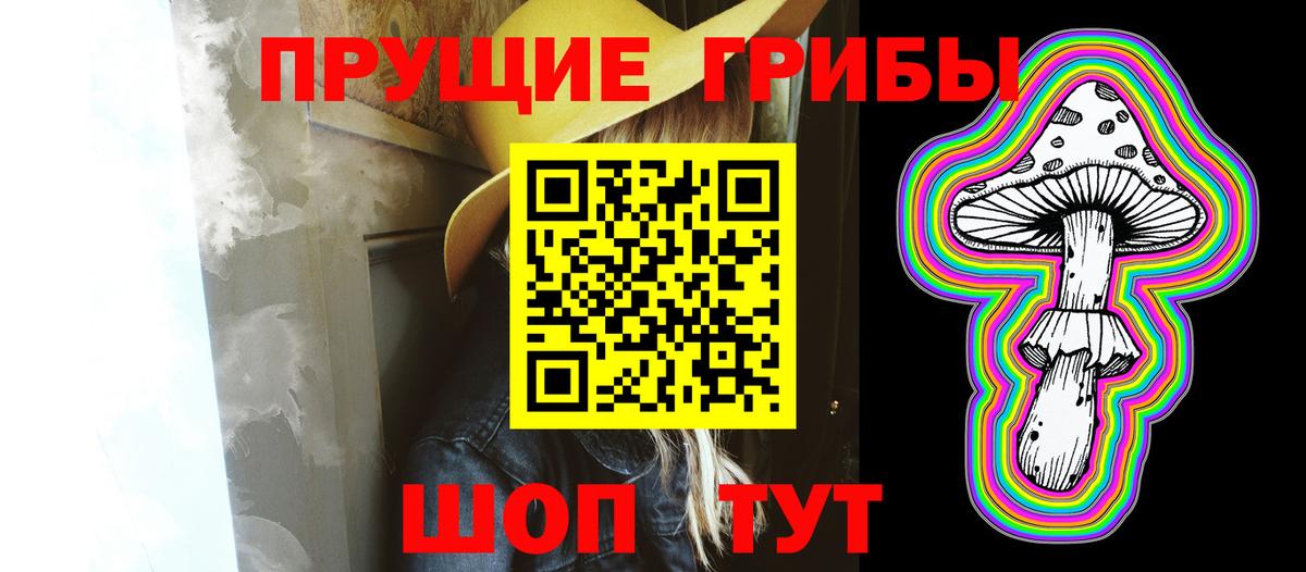 Псилоцибиновые грибы Psilocybine cubensis  наркота  Кропоткин  Вход с VPN 